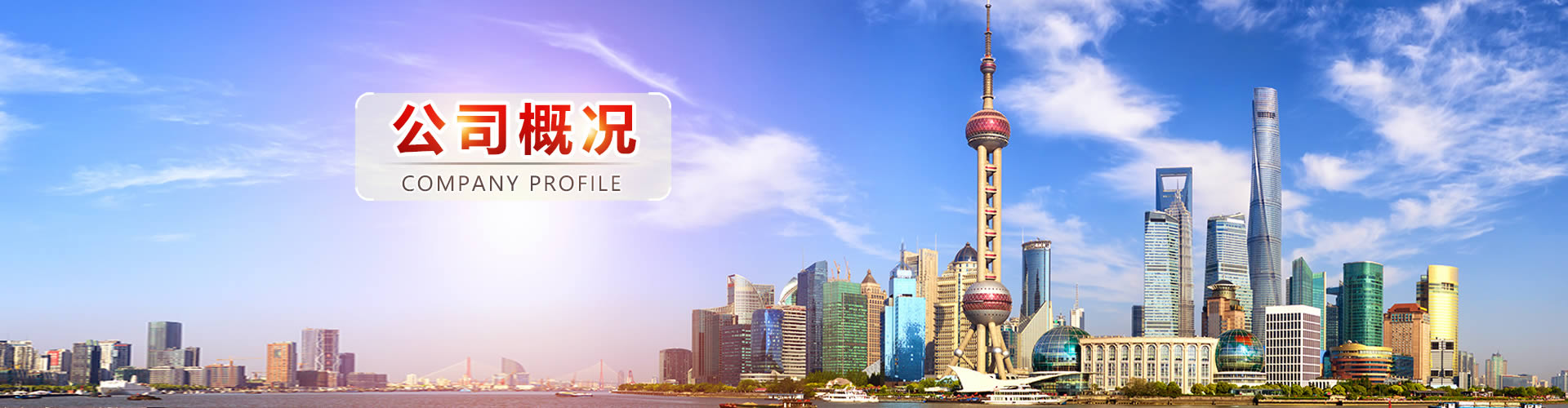 公司概況